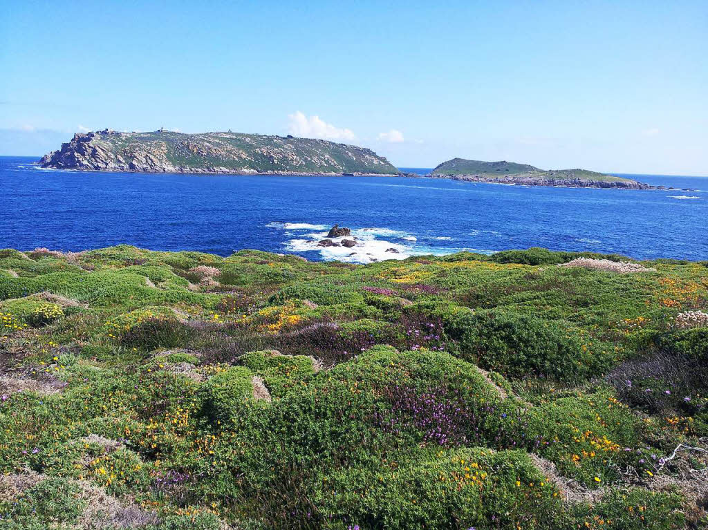 Blick vom Kstenweg O Camino dos Faros auf die Islas Sisargas bei Malpica in Galicien/Spanien. Aufgenommen von Dieter Leeb aus RheinfeldenBZ Fotosommer: Wandern