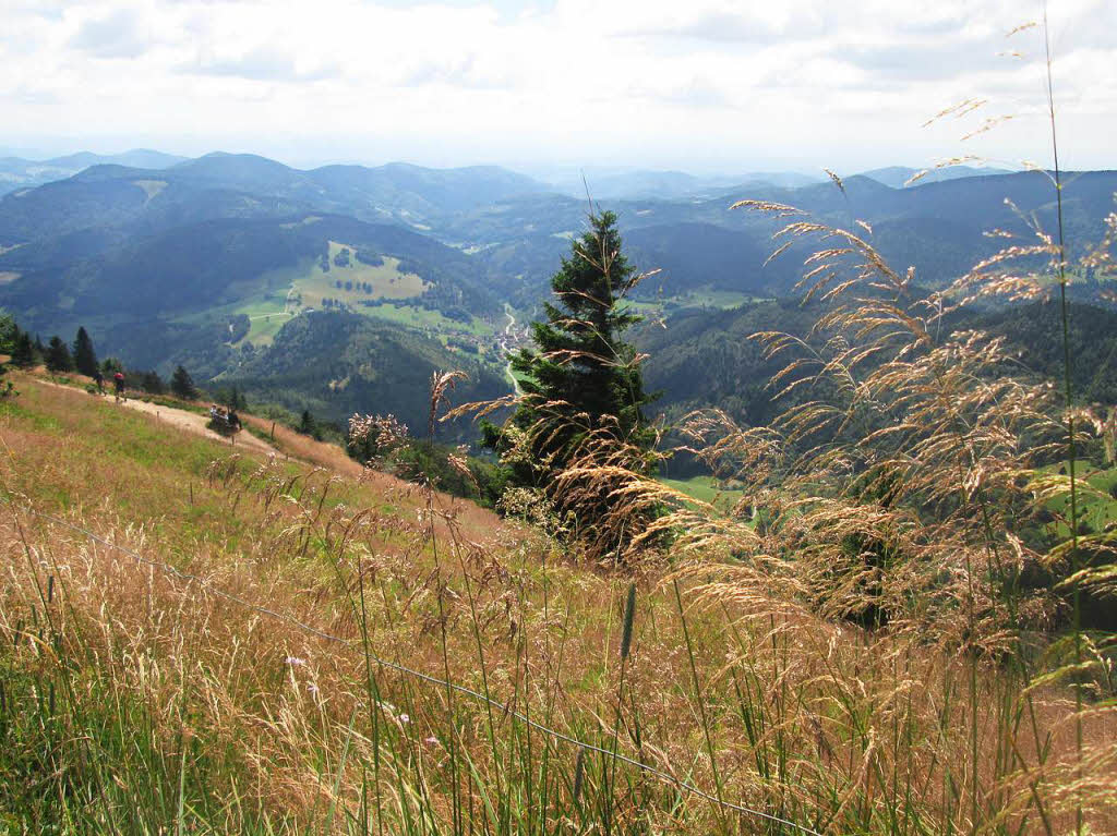 Die Sicht vom Belchen/Schwarzwald ins Kleine Wiesental hinunter.Fotografiert von Monika Kiefer aus Wembach mit Canon A3500ISBZ Fotosommer: Wandern