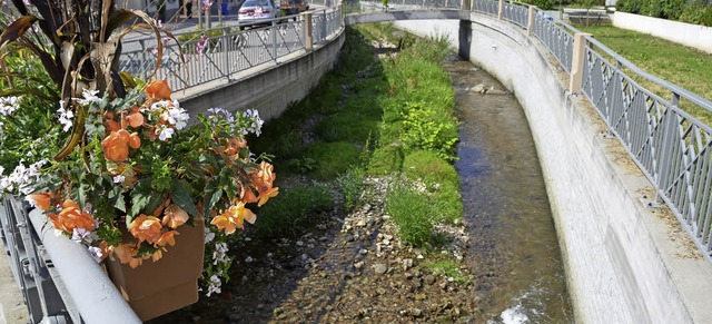 Sieht schn grn aus, kann bei Hochwas...leme bereiten: Geschiebe in der Kander  | Foto: Markus Maier