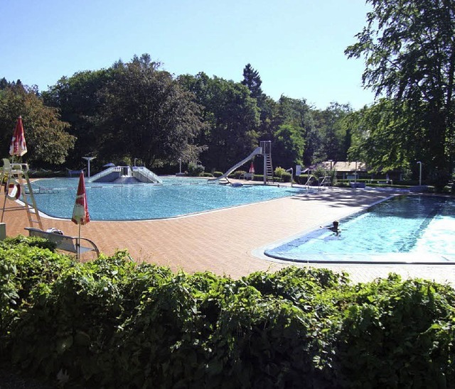 Manche Schwimmer haben das Waldbad in ... richtige Wetter fr einen Besuch ab.   | Foto: Lena Steinbauer