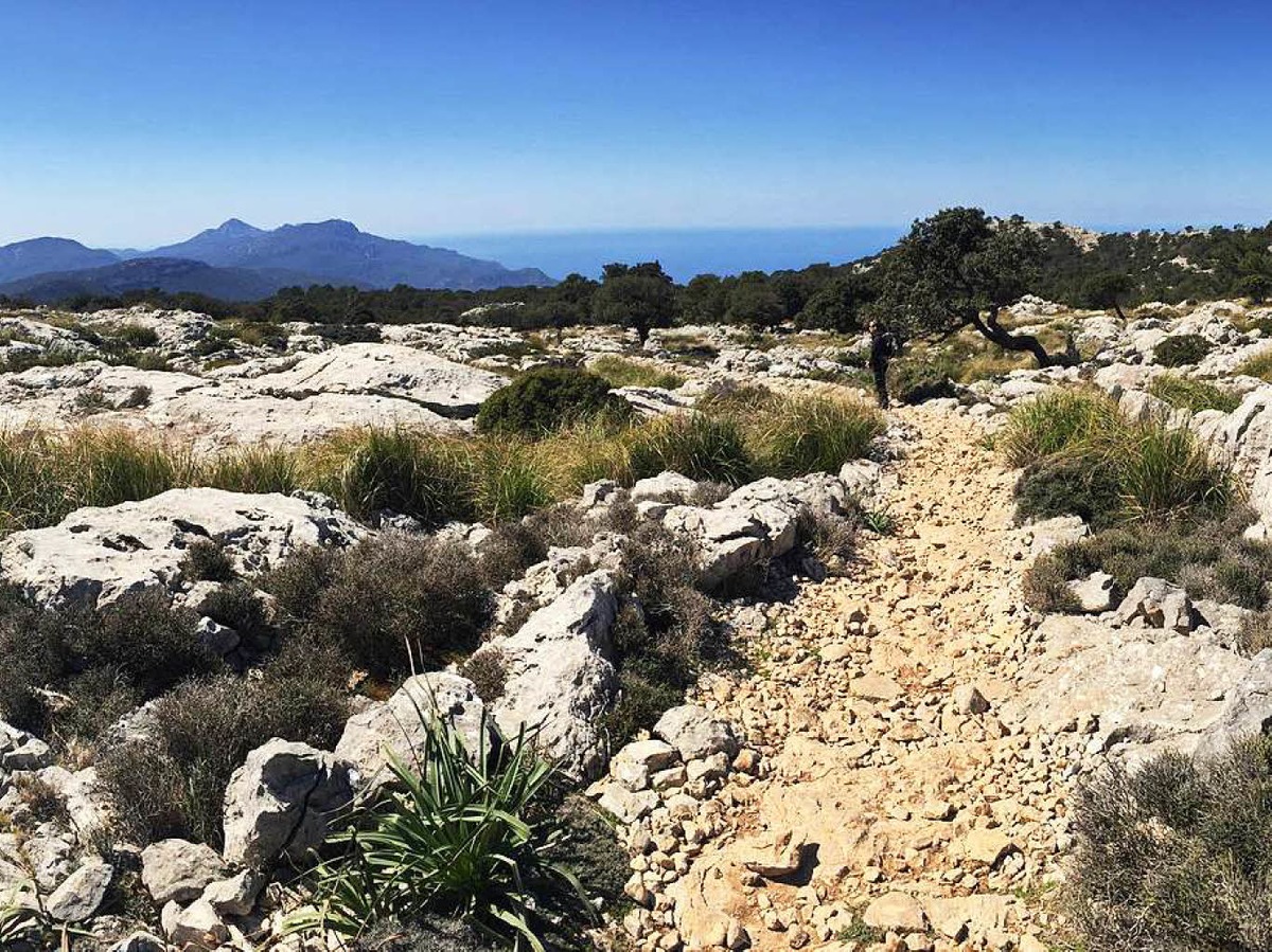 Tramontana Gebirge auf Mallorcavon D. StckerBZ Fotosommer: Wandern