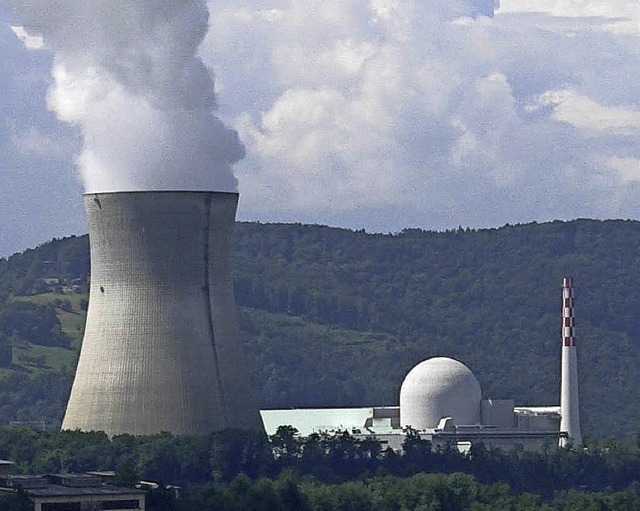 Das AKW Leibstadt steht derzeit still.   | Foto: Manfred Herbst