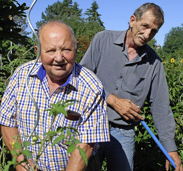 Beim Grtnern: Bernd Anders und Karl Hollstein  | Foto: Maja Tolsdorf