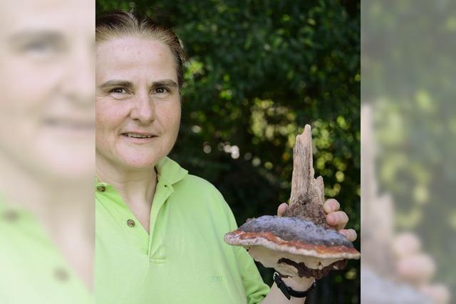 Wer Pilze sammelt, sollte auf Nummer Sicher gehen: Veronika Whnert bietet Beratungen an