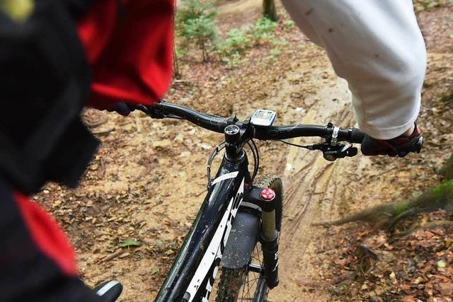 Im Lrracher Wald sollen Singletrails fr Mountainbiker entstehen
