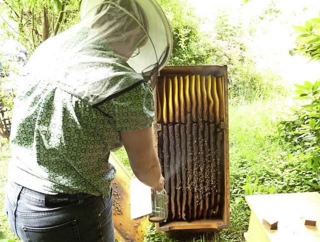 Angela Fremmer hantierte an einer Kiste mit Bienenwaben   | Foto: ZVG