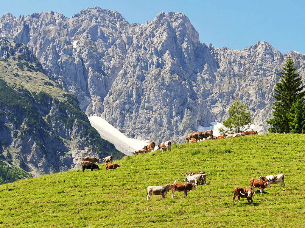 Wochenbrunner Alm am Wilden Kaiser/Tirol. Fotografiert von Jrgen Freund mit DMC-FZ1000BZ Fotosommer: Wandern