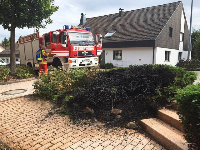 Die Feuerwehr wsserte den Brandbereich, um ein Wiederaufflammen zu verhindern.  | Foto: Tobias Frster