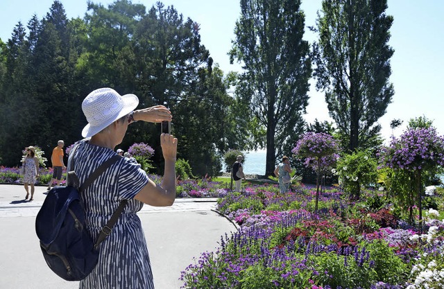 Fotomotive satt: Auf der Mainau gibt es viel festzuhalten.  | Foto: Lissi Savin