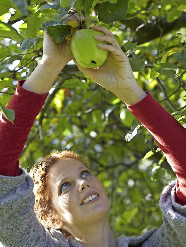 Der September ist auch Erntezeit.   | Foto: pdm