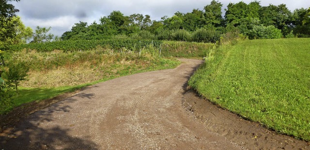 Der Seelbergweg in Kippenheim ist rechtzeitig zur Weinlese saniert worden.  | Foto: BZ