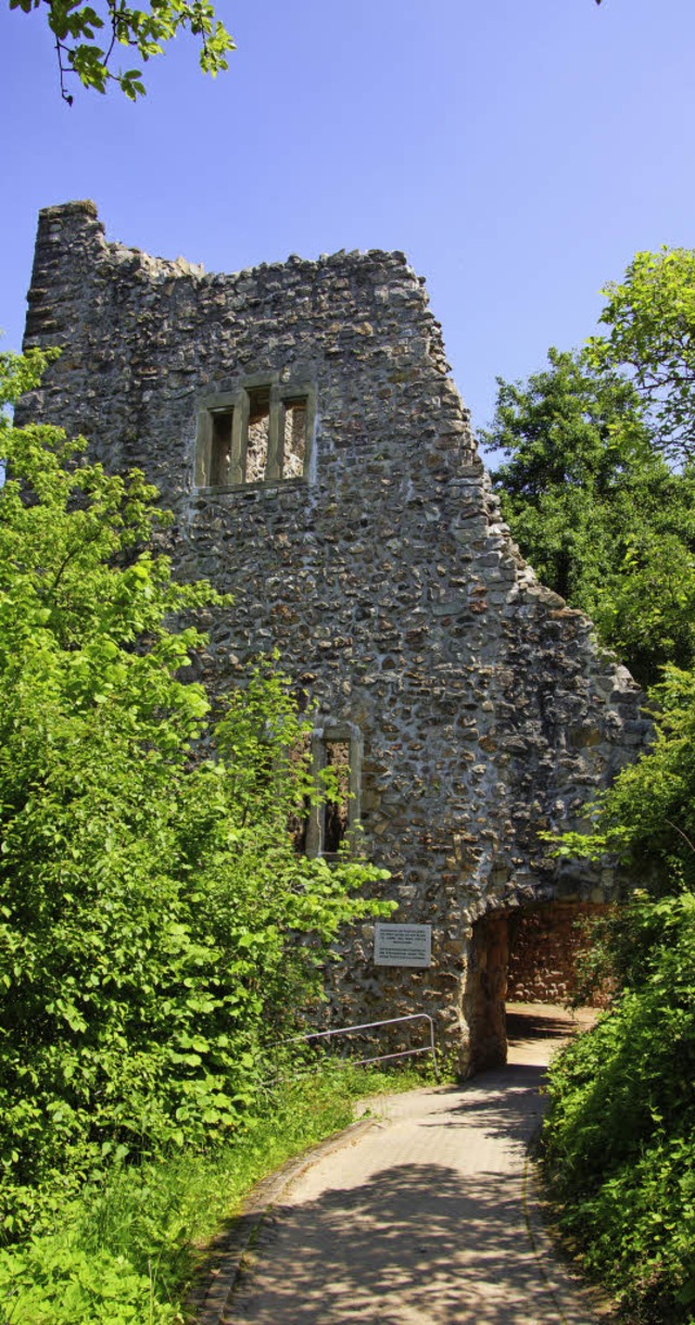 Ein Teil der Burgruine  von Badenweiler   | Foto: Karin Schmeier