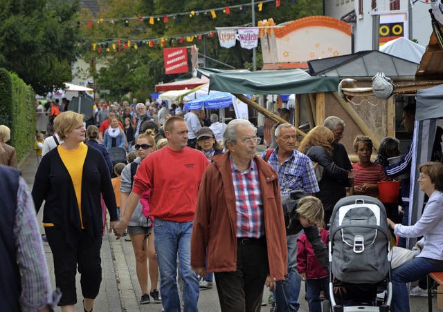 Gedrnge auf dem Festareal 2015   | Foto: Barbara Ruda