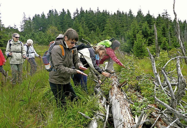 Exkursion des Schwarzwaldvereins: Unte...Ruhe und eine phantastische Umgebung.   | Foto: Edwin Dreher