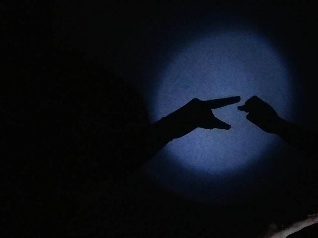 Diese Aufnahme wurde mit dem Samsung Galaxy A3 aufgenommen. Bei der Aufnahme sind man einenSchferhund und ein Dackel!Fotografin: Monika KieferBZ Fotosommer: Licht und Schatten