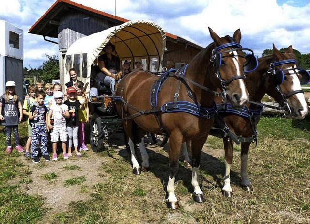 Fr elf  Kinder ging es bei Familie Fr...chaft rund um das sonnige Rotzingen.    | Foto: Sigrid schneider