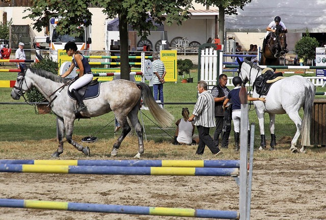 Gute Bedingungen herrschten am Samstag zum Auftakt des Kenzinger Reitturniers.  | Foto: Christiane Franz