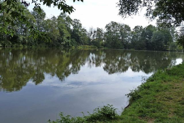 Schwimmbad an der Seemhle war vor 60 Jahren der Badetreff vor den Toren Hfingens