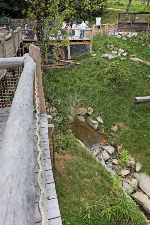 Blick vom Ende Besucherstegs ins  Waschbärengehege.   | Foto: G. zahn