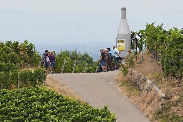 Der 18. Offenburger Weinwandertag