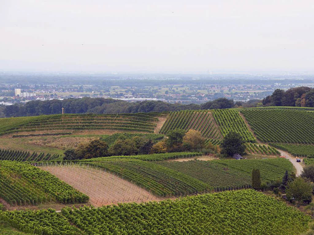 Genuss zwischen Wald und Reben: der 18. Offenburger Weinwandertag 2016