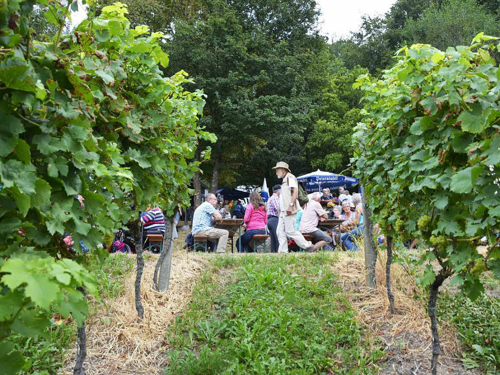 Genuss zwischen Wald und Reben: der 18. Offenburger Weinwandertag 2016