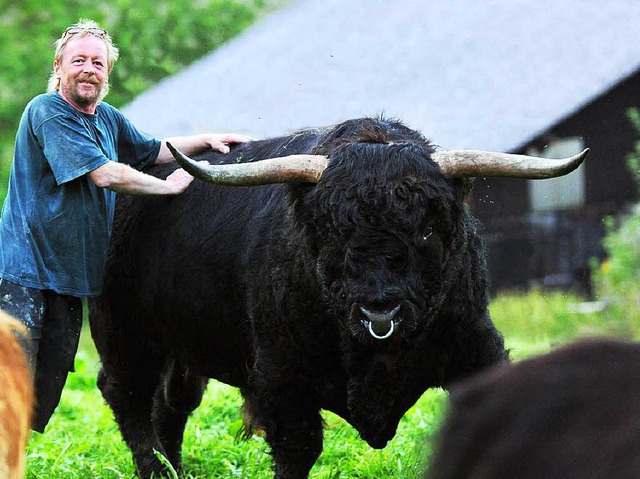 Zuchtbulle Robert mag furchteinflend...ddeln gern und er folgt ihm auf Zuruf.  | Foto: Wolfgang Scheu