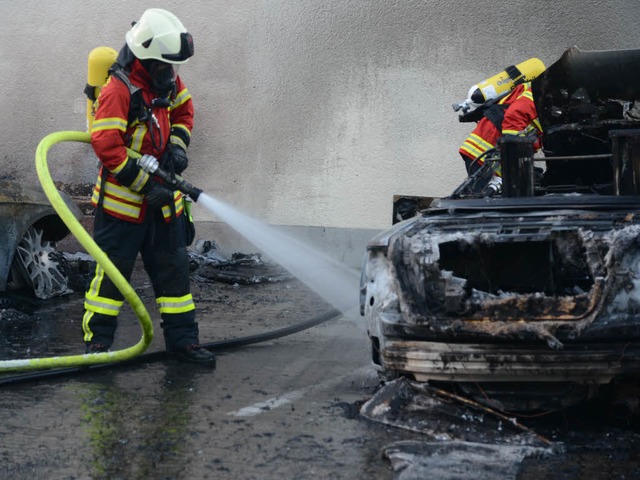 Die Feuerwehr im Dreilndereck musste ...ahrzeugbrand in Friedlingen ausrcken.  | Foto: Martin Eckert