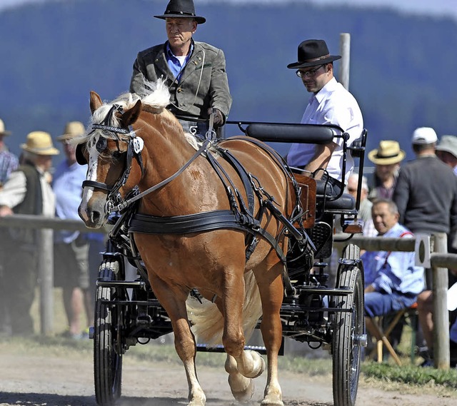 Erfolgreich bei der Leistungsprfung i... Bleher, Beifahrer ist Simon Blattert.  | Foto: Wolfgang Scheu