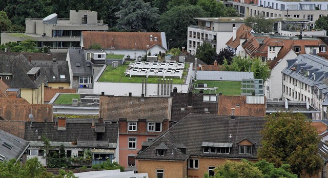 Grne Dcher gibt es auch in der Innen...zeigt den Rewe-Markt, ehemals Migros.   | Foto: Maja Tolsdorf