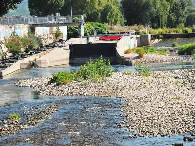 Als Laichplatz wertvoll, aber fr die ...g ein Hindernis: Kies am Groen Deich.  | Foto: Seller