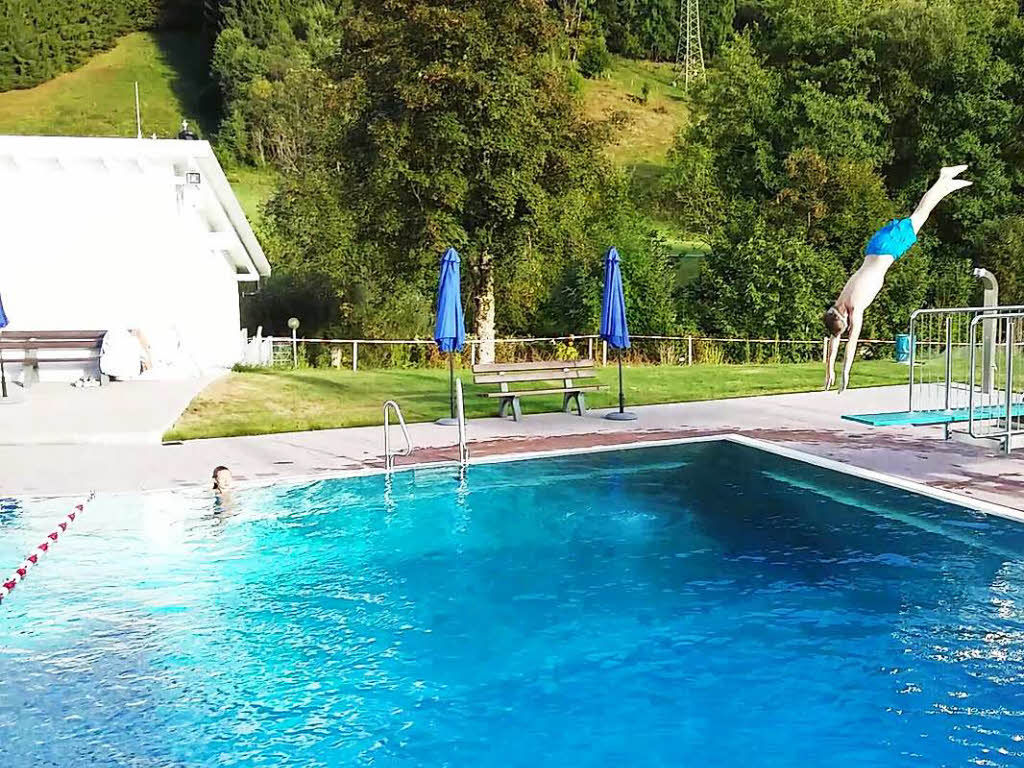 Einen Kpfer vom 3 Meter-Brett im Schnauer Schwimmbad fotografierte Monika Kiefer mit Samsung Galaxy A 3