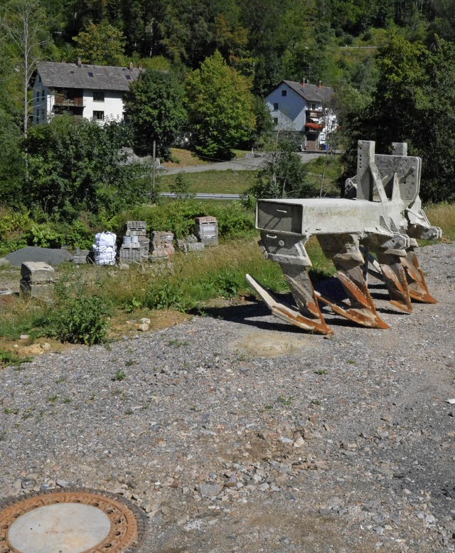 Eine Anwohner uer im Gemeinderat die... Stadt (vorne) strker belastet wird.   | Foto: Barthmes