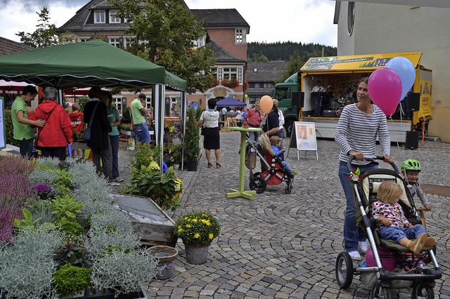 Herbstschmuck und gute Stimmung prgten den verkaufsoffenen Sonntag 2014.  | Foto: Liane Schilling