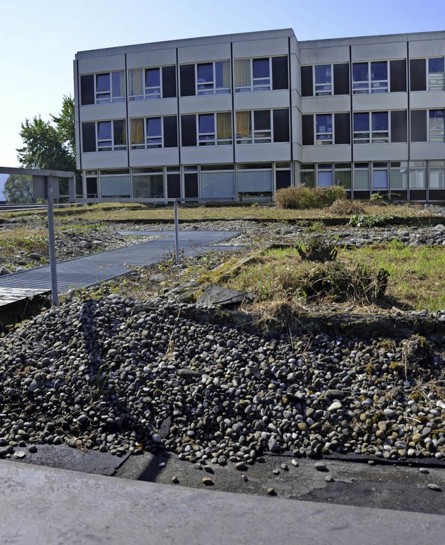 Auch das Dach des OP-Bereichs muss erneuert werden.   | Foto: Felix Held