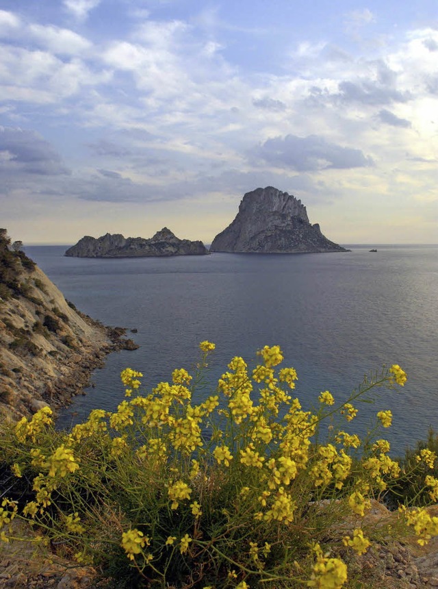 Blick auf  Vedranell (links) und Es Vedra   | Foto: dpa
