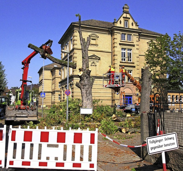 ENTFERNT wurden am letzten Ferienwoche...Eine Ersatzbepflanzung ist vorgesehen.  | Foto: Reiner Merz