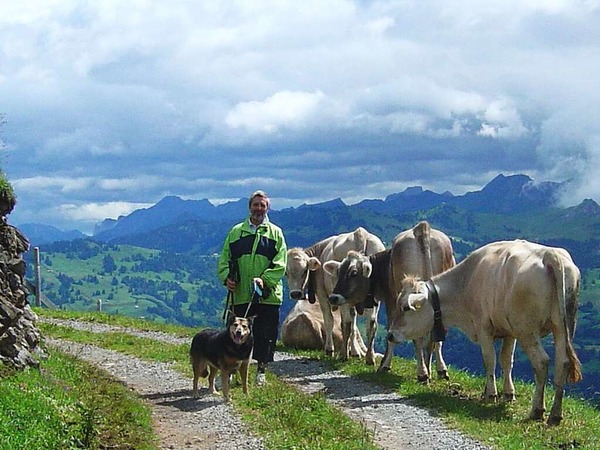 Werner Nuss: Tiere