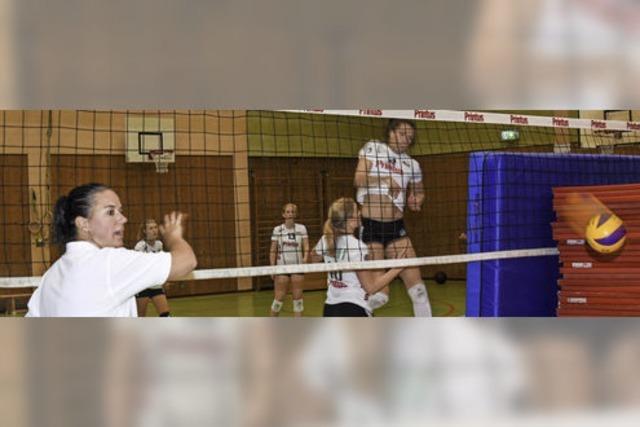 Zweitliga-Volleyballerinnen gehen mit sechsstelligem Etat in die Saison