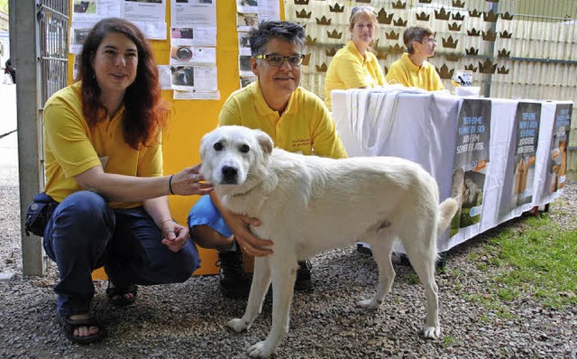 Tierheimleiterin Leonie Moser (links) ...abrador Mischling &#8222;Merlin&#8220;  | Foto: Sedlak