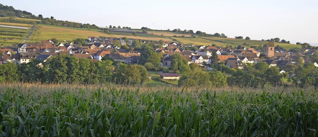 Hanglagen und groe Maisflchen, aber ...ringen (unser Foto)   davon betroffen.  | Foto: Marco Schopferer