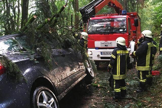 Baum strzt im Wald auf ein Auto – Fahrer befreit sich