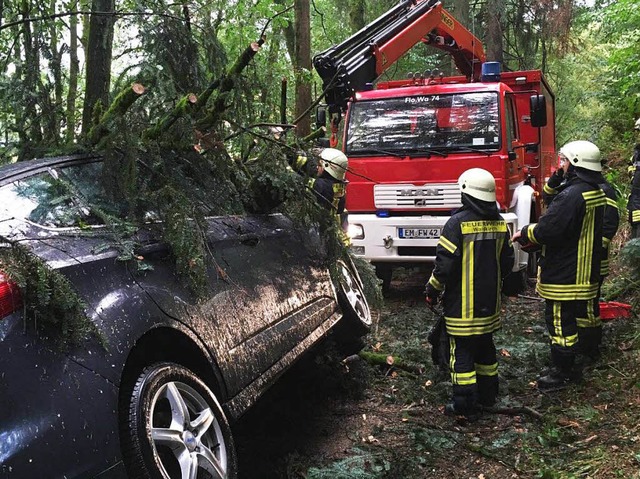 Wochenlang kein Regen, dann gleich zu viel: Hier fiel ein Baum auf ein Auto.  | Foto: Feuerwehr