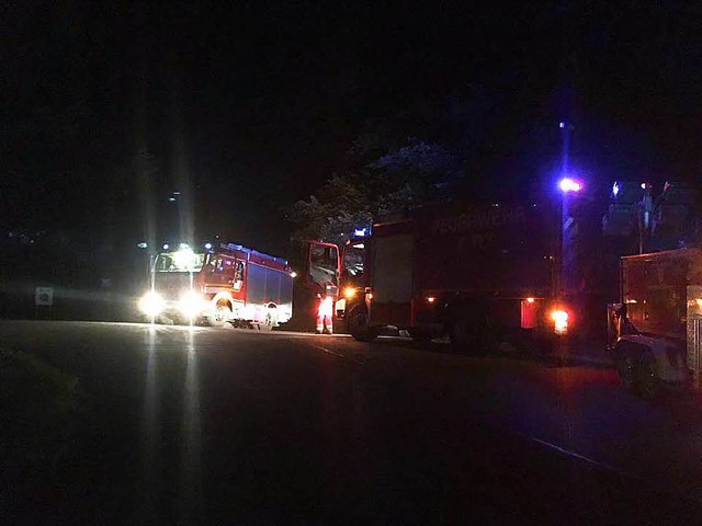 Die Feuerwehr war mit zehn Fahrzeugen am Bergsee.  | Foto: Feuerwehr Bad Sckingen