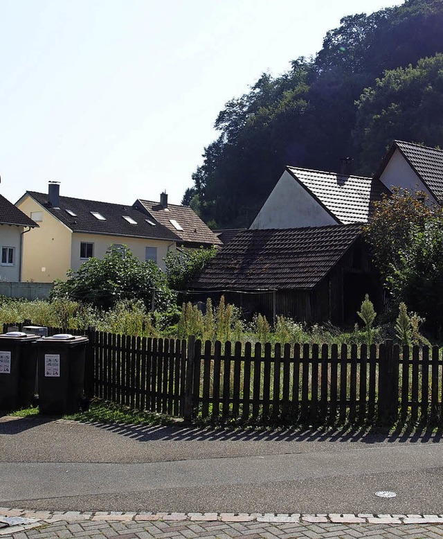 Auf diese Wiese soll das neue Mehrfami... reichten direkt an die Strae heran.   | Foto: Boris Burkhardt