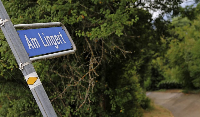 Der Bebauungsplan fr ein Gebiet am Lingert wird aktuell aufgestellt.  | Foto: Katharina Bartsch