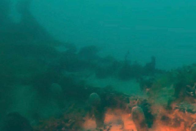 Expeditionsschiff nach 170 Jahren im Meer entdeckt