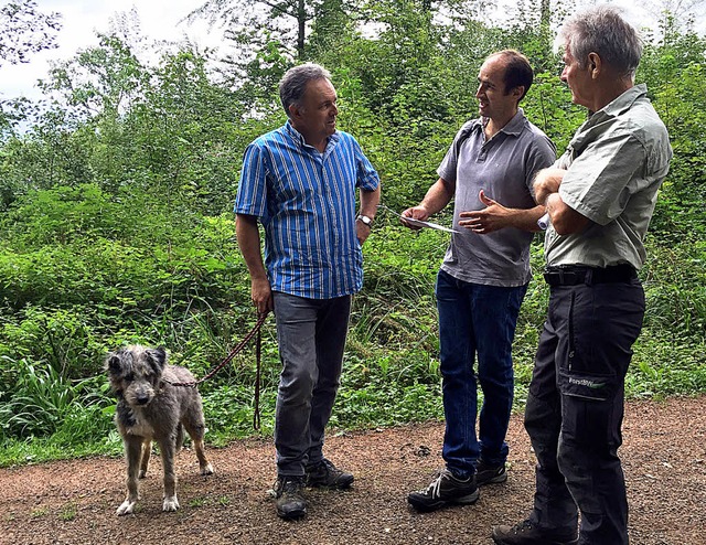 Josha Frey, Frank Krumm (Wissenschaftl...ich jngst bei  der Waldbegehung aus.   | Foto: privat