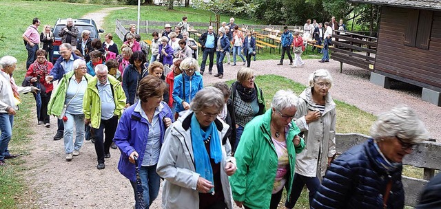 Heimischer Literatur und Natur auf der...meile beim Wandern entlang der  Wiese.  | Foto: Roswitha Frey