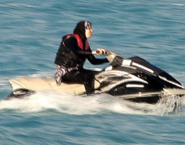 Schwarzer Burkini, schwarzer Jetski: Diese Frau in Alexandria gibt Gas.   | Foto: Karim El-Gawhary